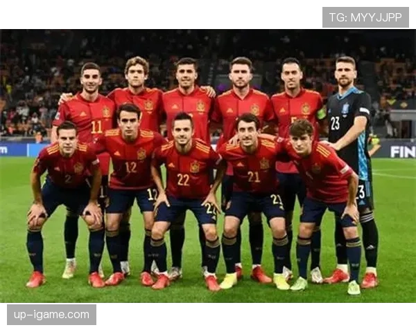 西班牙国家队新黄金一代 西班牙国家队新黄金一代