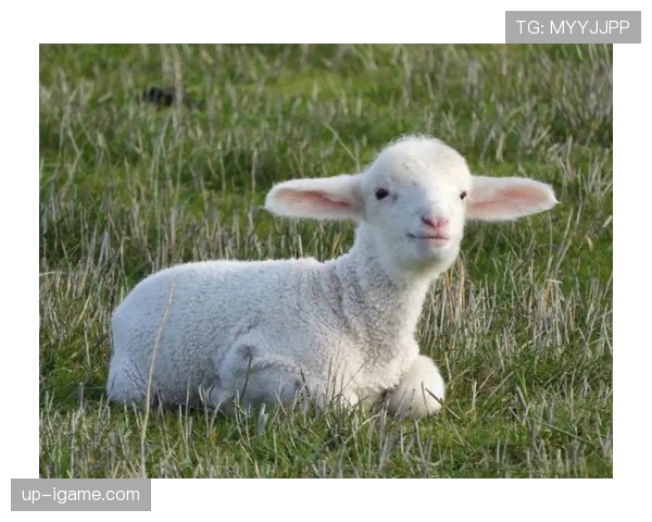 石宇奇排队买奶茶，穿得和邻居一样，手上的那块表像另一个世界